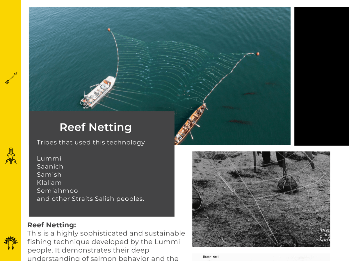 Reef Netting